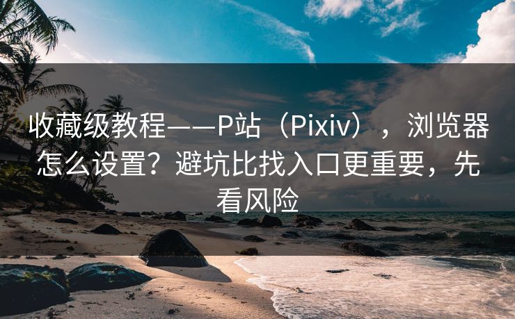 收藏级教程——P站（Pixiv），浏览器怎么设置？避坑比找入口更重要，先看风险