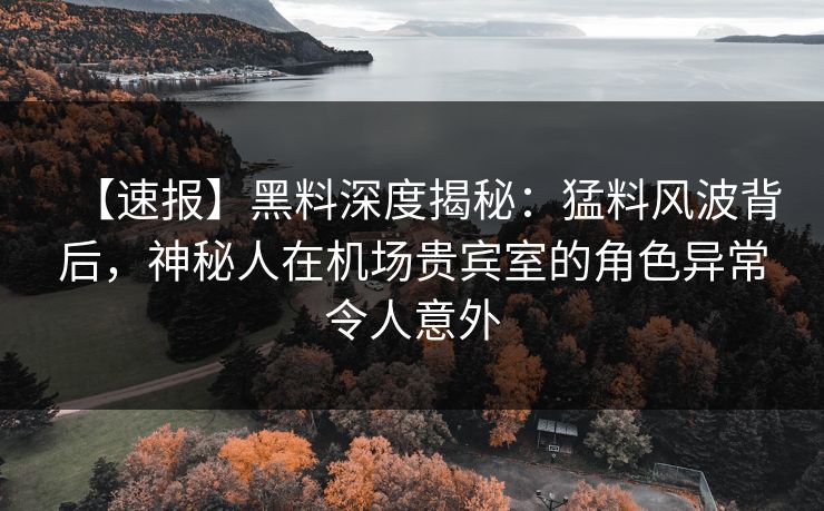 【速报】黑料深度揭秘：猛料风波背后，神秘人在机场贵宾室的角色异常令人意外
