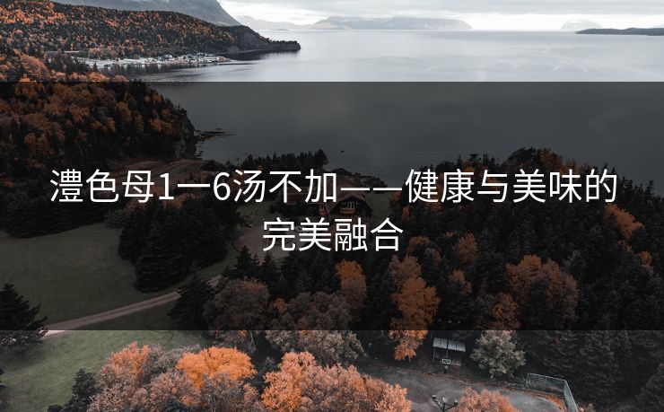澧色母1一6汤不加——健康与美味的完美融合