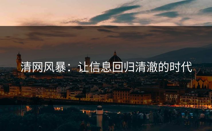 清网风暴：让信息回归清澈的时代
