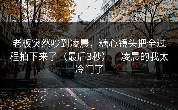 老板突然吵到凌晨，糖心镜头把全过程拍下来了（最后3秒）｜凌晨的我太冷门了