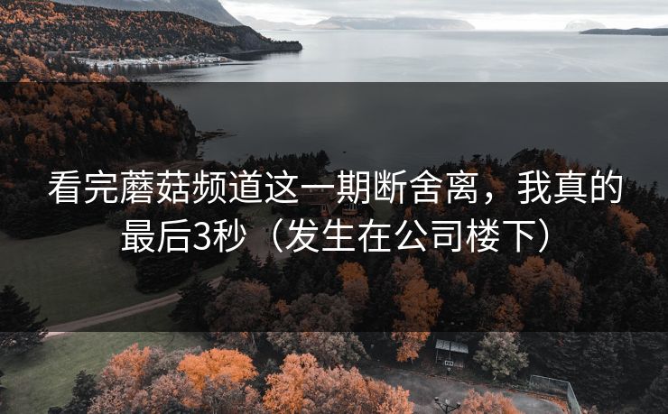 看完蘑菇频道这一期断舍离，我真的最后3秒（发生在公司楼下）